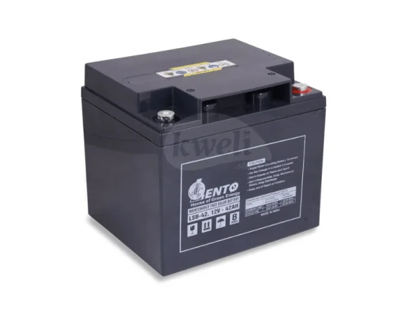 Lento 42AH 12V 504Wh Deep Cycle Sealed Maintenance-free VLRA Battery, Made in India